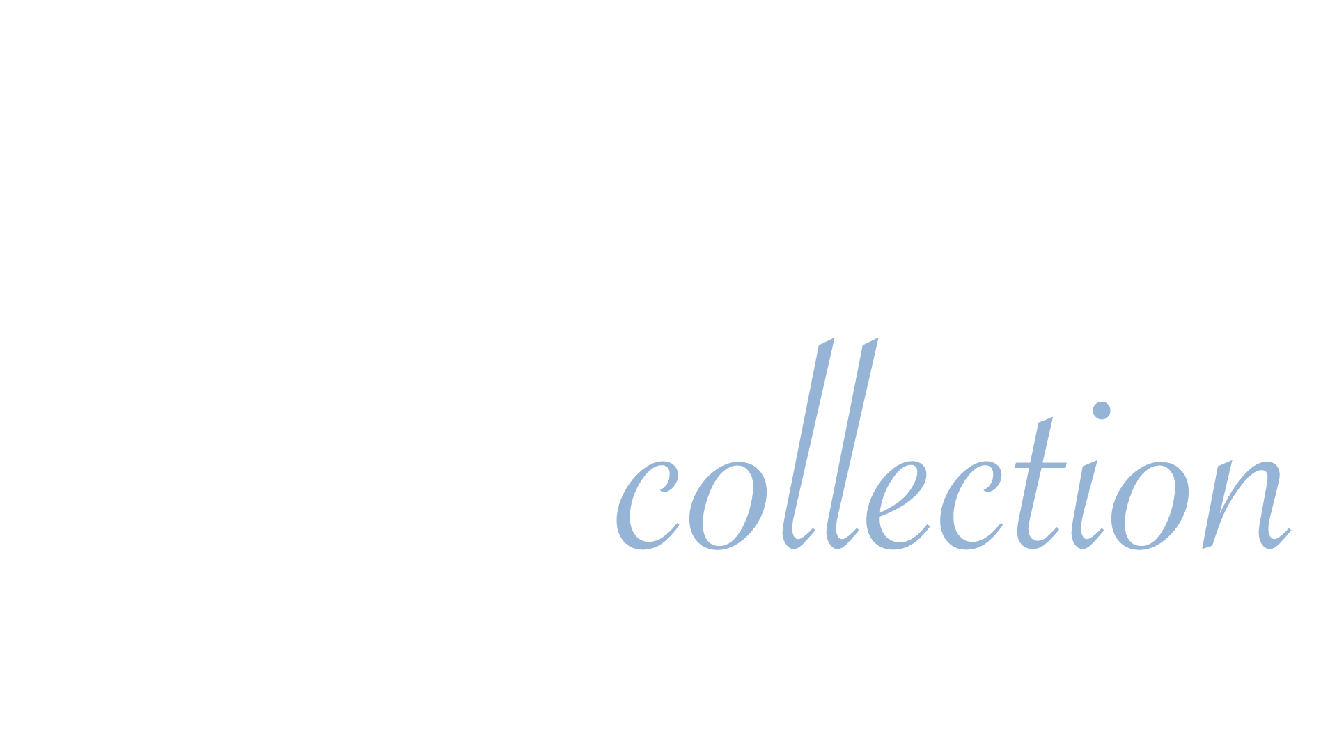 b michael AMERICA